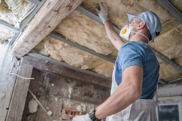 Best Eco-Friendly Insulation in Rural Hall, NC